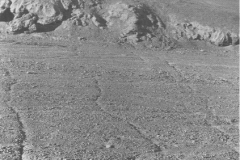 Escarpe de falla Salar del Carmen (2)- Armijo et al. 1990